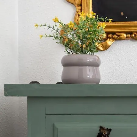 Апартаменти En Casco Historico. *