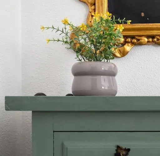 Апартаменти En Casco Historico. *